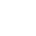 x icon